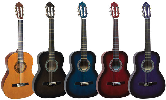 چند-مدل-گیتار-داریم-انواع-و-مدل-های-گیتار